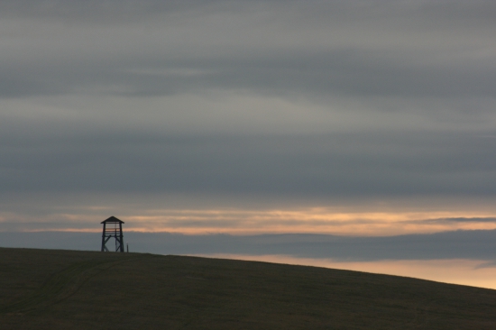 Podvečerní.