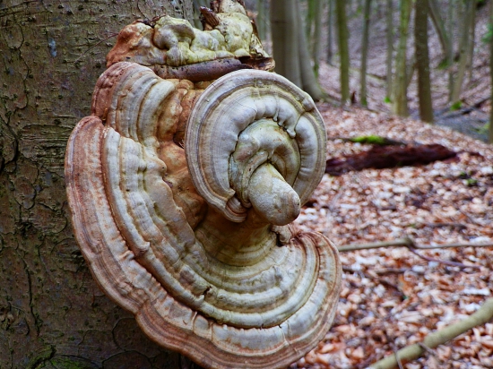 Taková přírodní zajímavost.