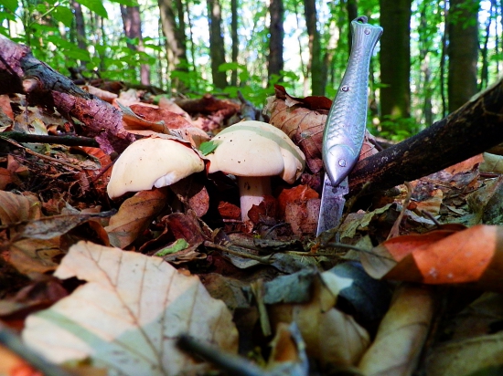 Májovky a stará dobrá klasika. :)