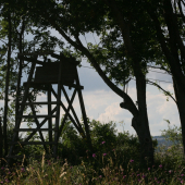 Jen tak chvíli posedět.