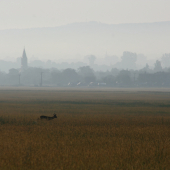 Ranní foto.