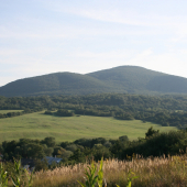 Podvečerní.
