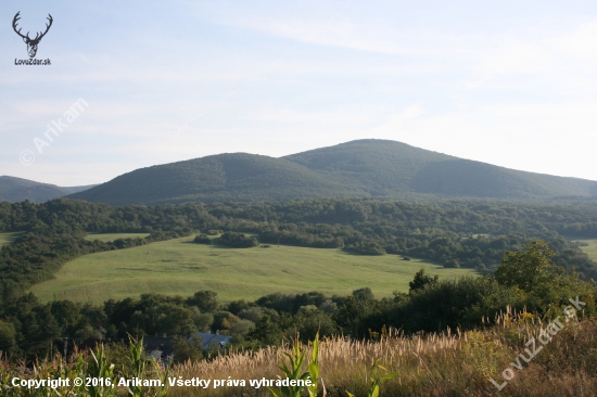 Podvečerní.