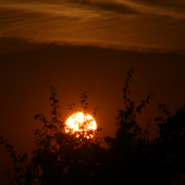 Podvečerní.