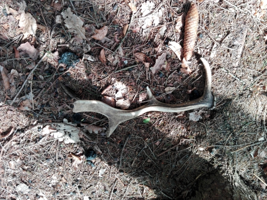 První. Bohužel starý. :(