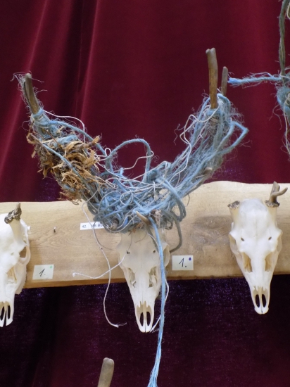 Přehlídka trofejí okres Uherské Hradiště