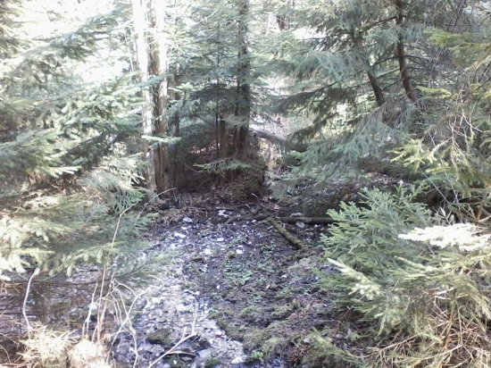 Prvý pohľad ...cca 10m :)