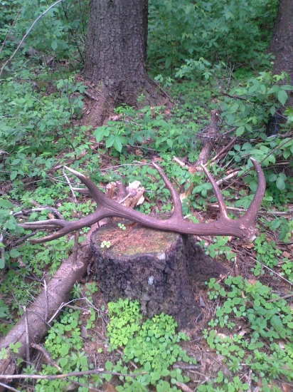 lepší pohľad k ID 166398