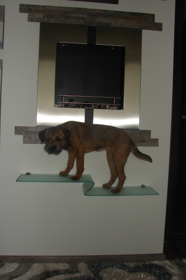 Nasa mala asi vyskoci vsade!