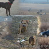 Asta na vylete