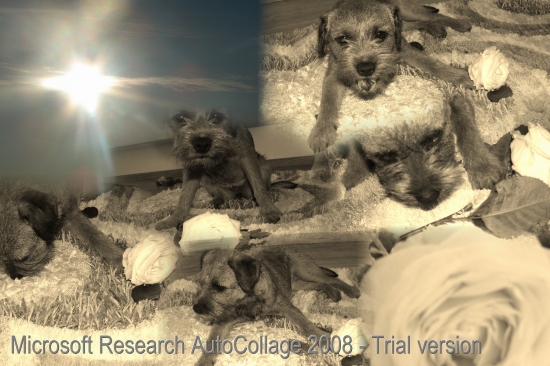 Krasne slnecne rano s astou