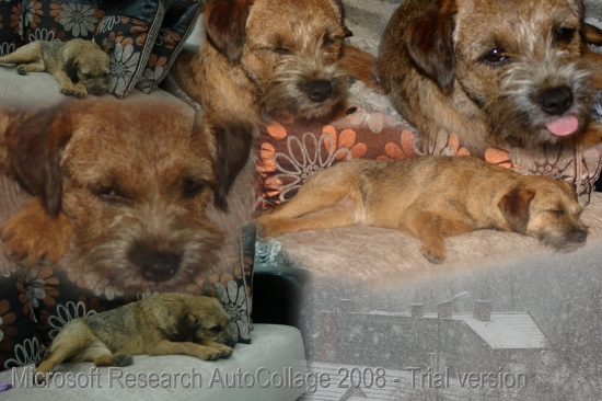 Konecne snezi+astin oddych