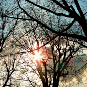 Spoza mraku a tak jasno.....