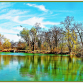 Na tom nasom rybnicku.....