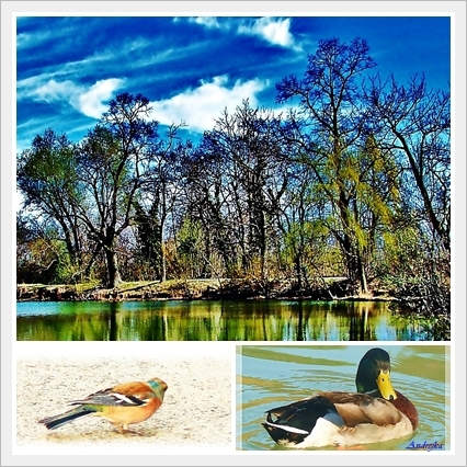 Krasy a farby prirody.......