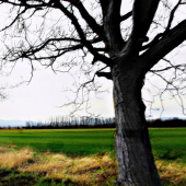 Čiernobielo-Farebne!