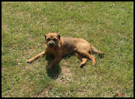 ,,Svieti mi do oci,daj mi pokoj!,,