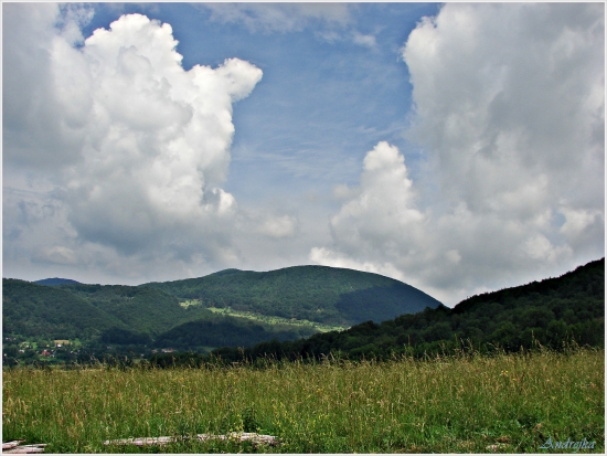Po ceste domov 3
