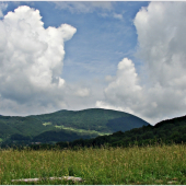 Po ceste domov 3