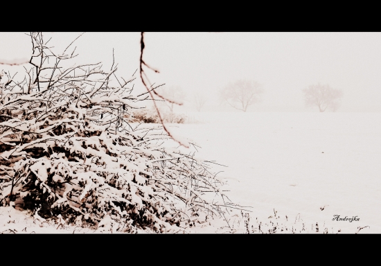 Snehováááá.