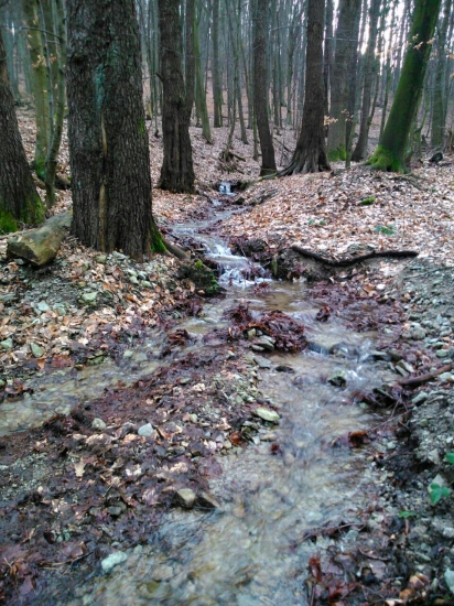 Dnes opät krasny den!!!