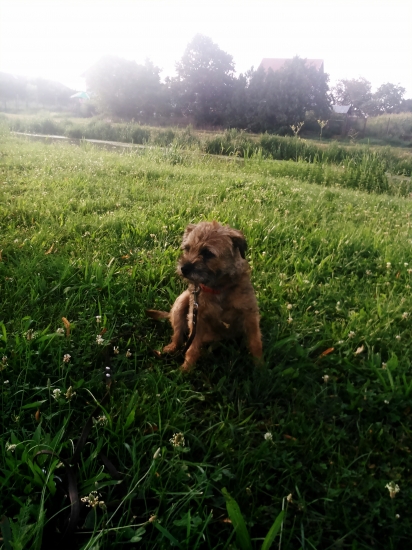 Čo budem dnes robiť???