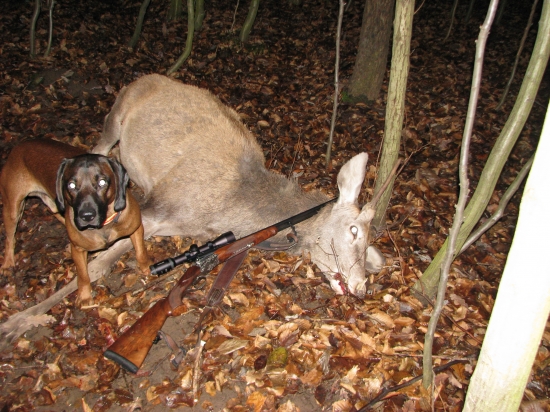 Aresov prvý dohľadaný jeleň