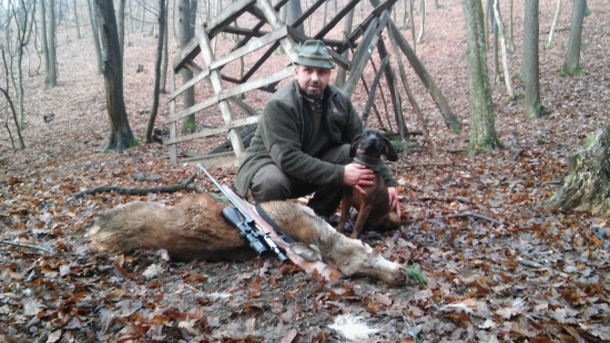 Dohladavka jelienčaťa