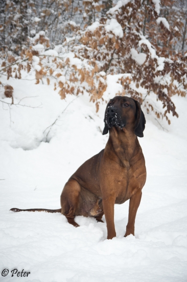 FLOK, 1 rok a 1 mesiac