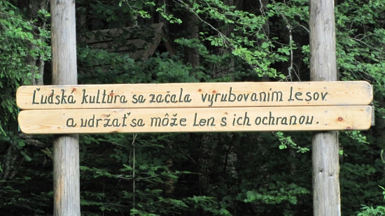 citat