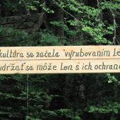 citat