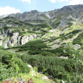 tatry
