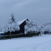 Prikrmovanie
