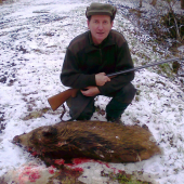diviača 2012