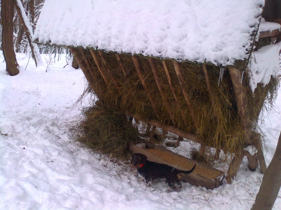 dnešné prikrmovanie