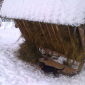 dnešné prikrmovanie