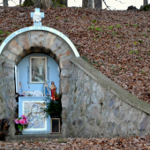 Požehnané sviatky prajem všetkým poľovníkom