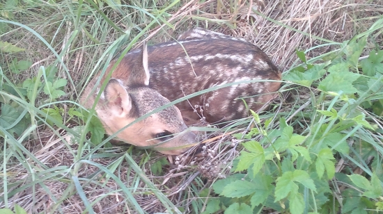 A ty čo tu?Čakám mamu.