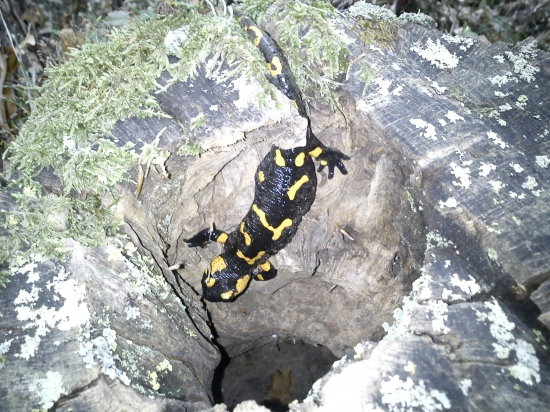 odchádzam do úkrytu.....