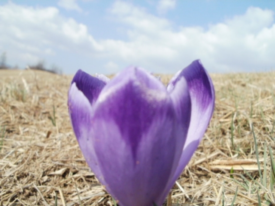 tento pohľad mu závidím