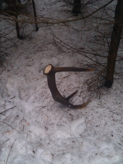 takto som ho našiel..