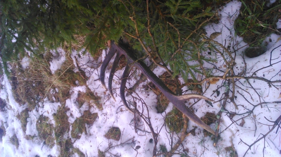 konečne sa pošťastilo aj mne..