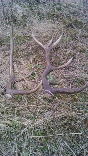 dvanastorak minulorocny a sestorak  cerstvy