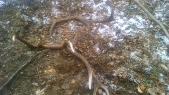 konečne sa zadarilo