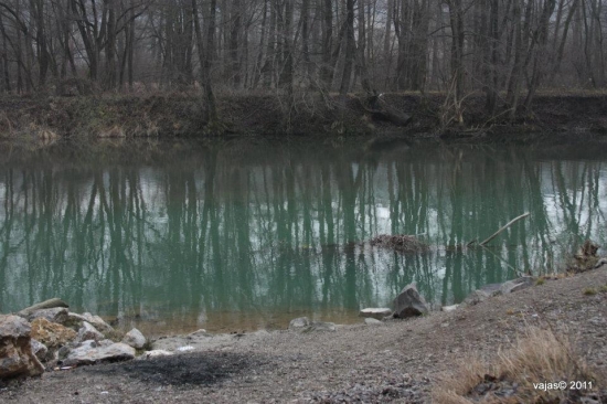 Zelená nie je len tráva