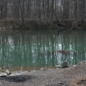 Zelená nie je len tráva