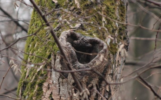 from nature with love