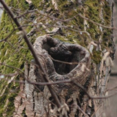 from nature with love