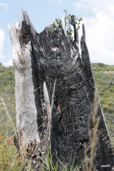 Kde jeden konci ..., druhy zacina