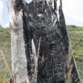 Kde jeden konci ..., druhy zacina